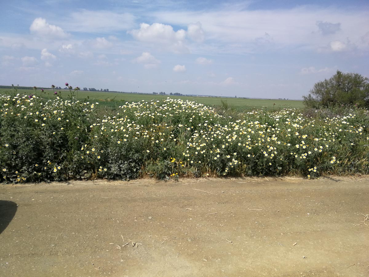 IMG_20190402_154040.jpg IMG_20190402_154040.jpg