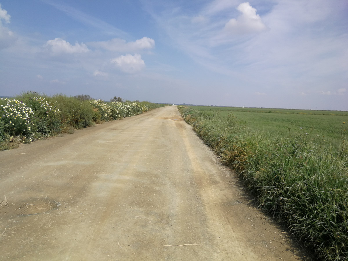 IMG_20190402_154045.jpg IMG_20190402_154045.jpg