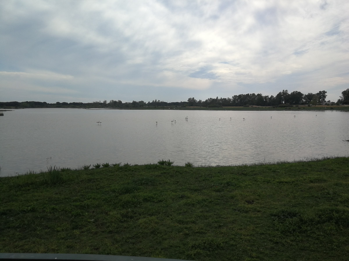 IMG_20190402_174215.jpg IMG_20190402_174215.jpg