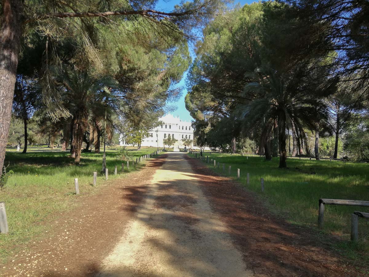 IMG_20190403_112451.jpg IMG_20190403_112451.jpg