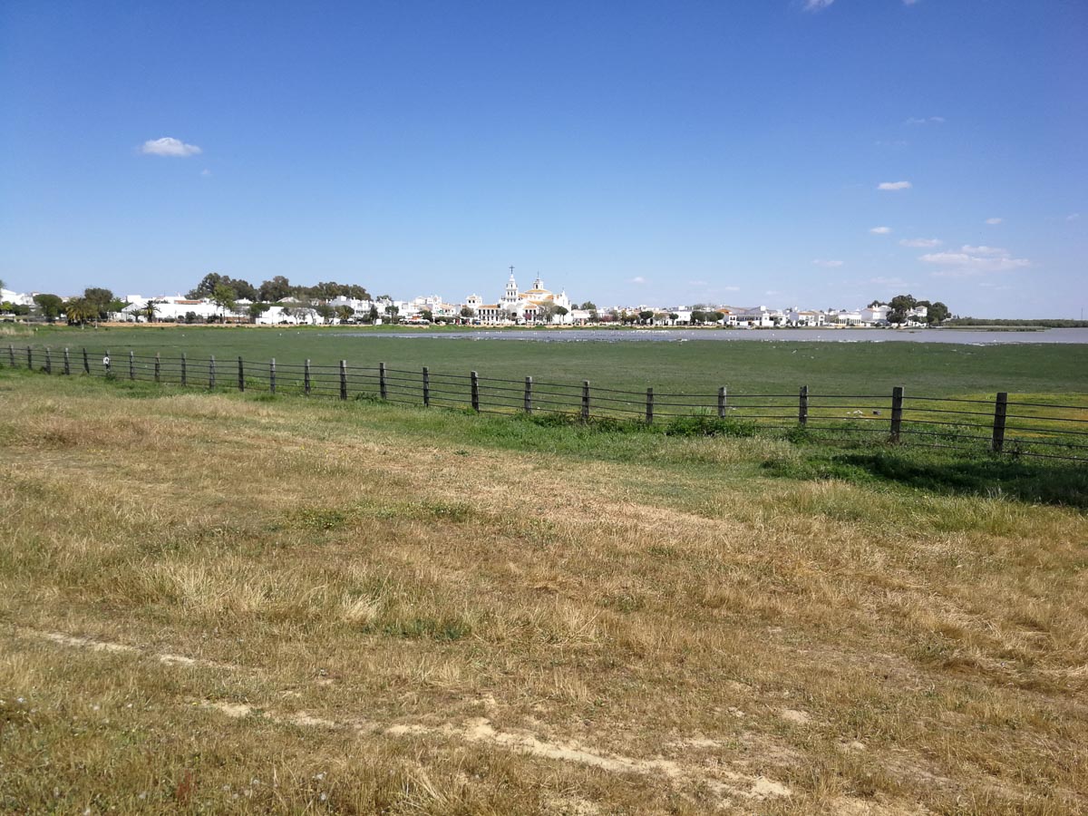 IMG_20190403_160645.jpg IMG_20190403_160645.jpg