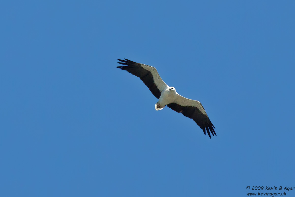 IMG_4095.jpg