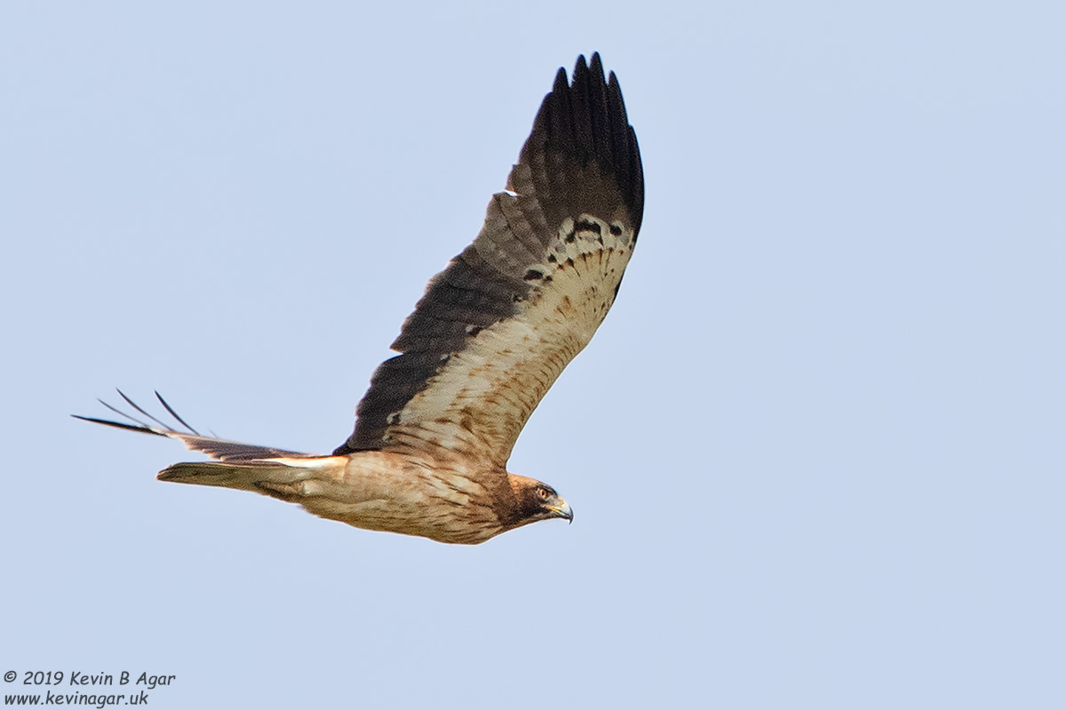 7D2_9567.jpg