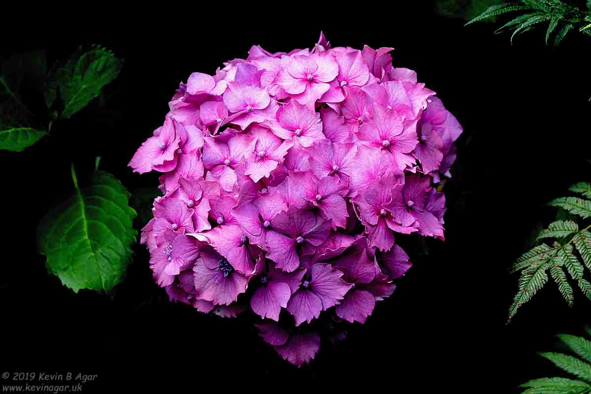 7D2_1636.jpg