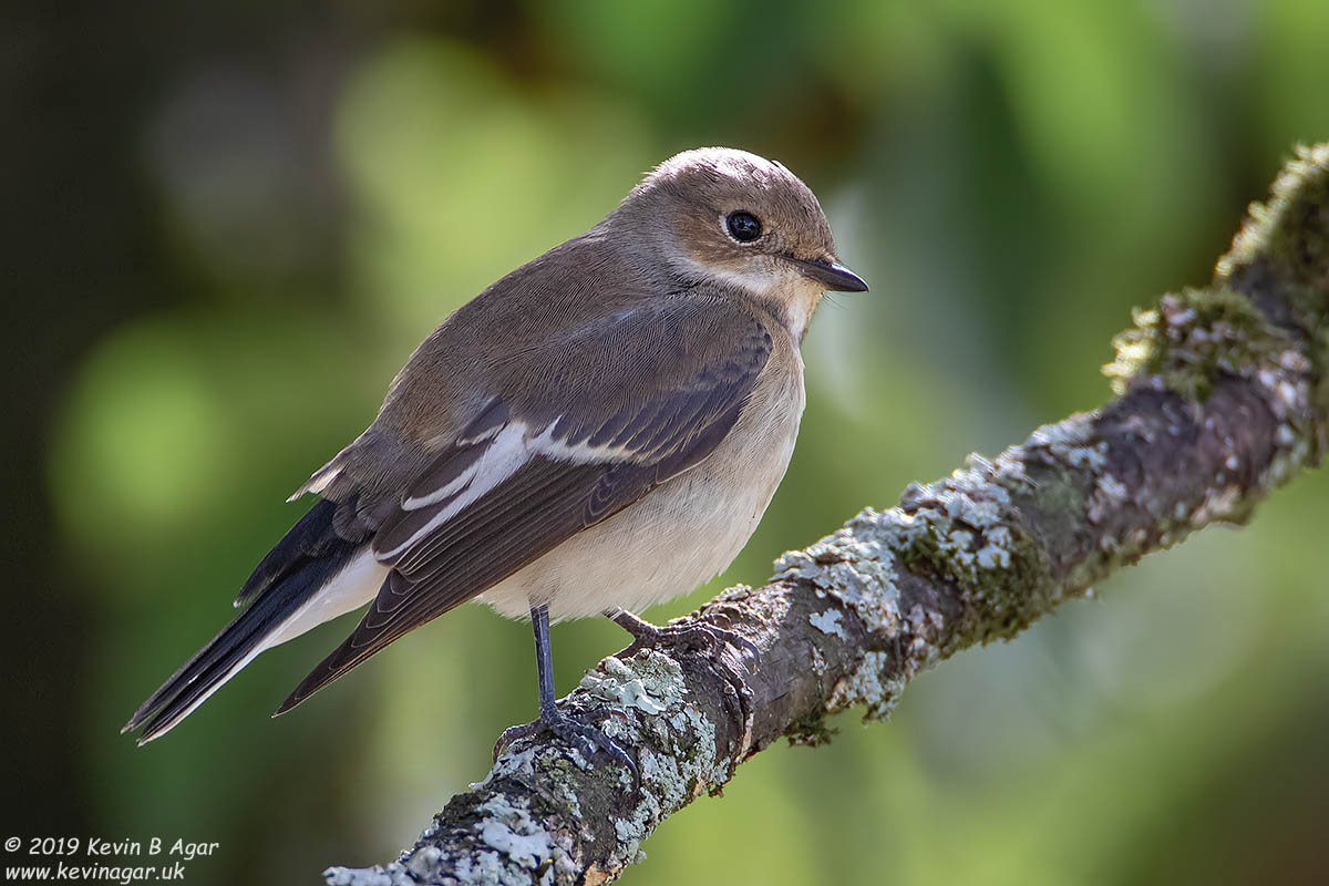 7D2_2028.jpg 7D2_2028.jpg