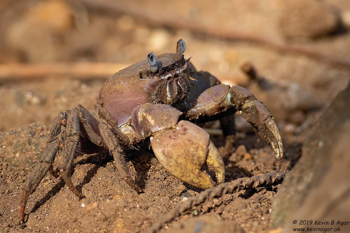 7D2_3223.jpg 7D2_3223.jpg