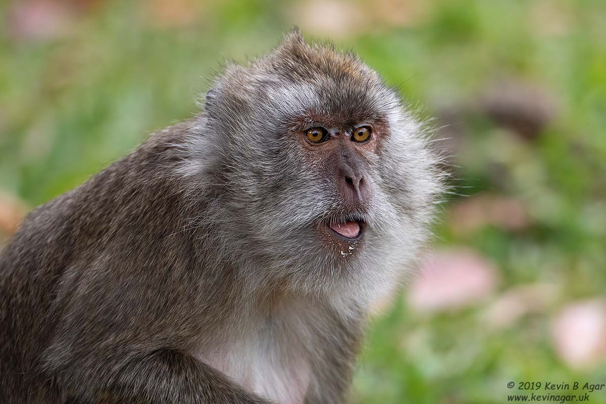 7D2_3394.jpg 7D2_3394.jpg