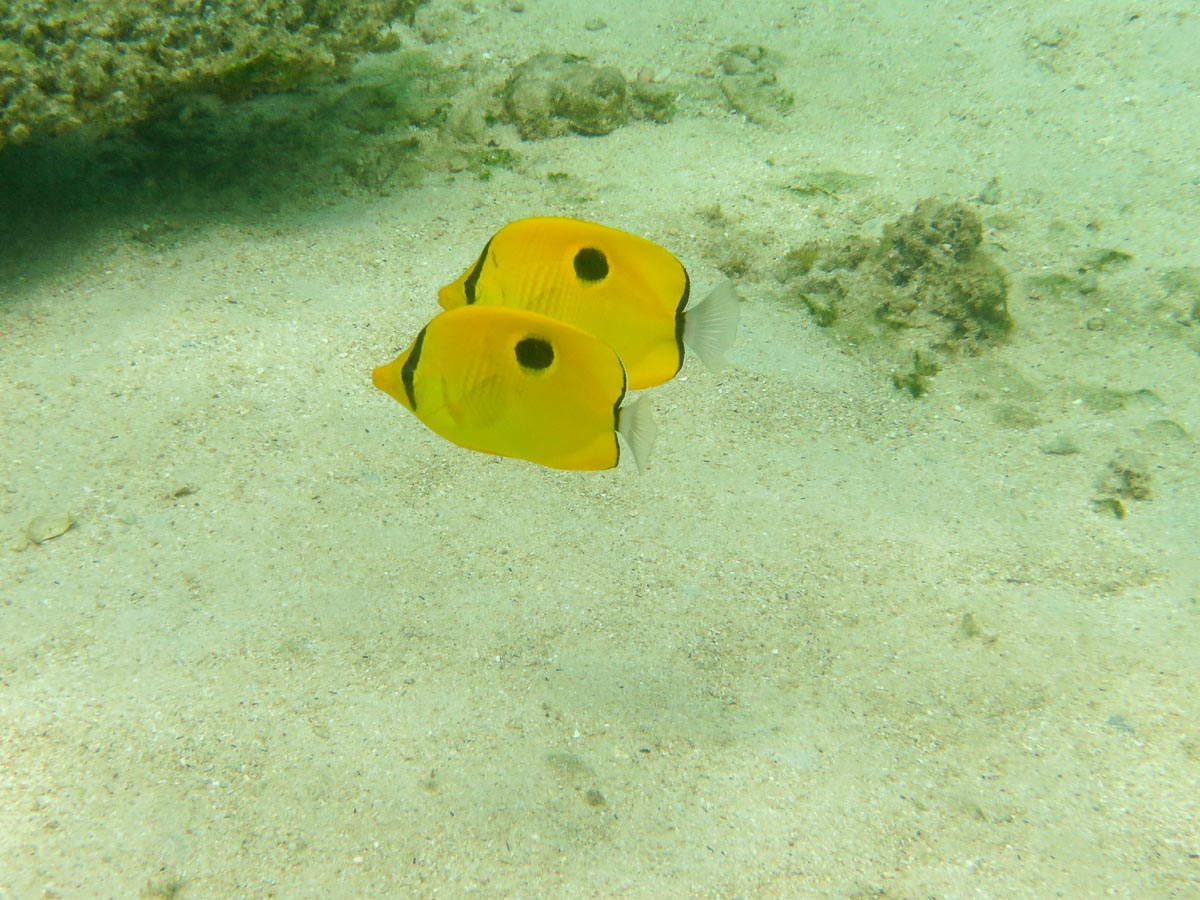 IMG_1947.jpg IMG_1947.jpg