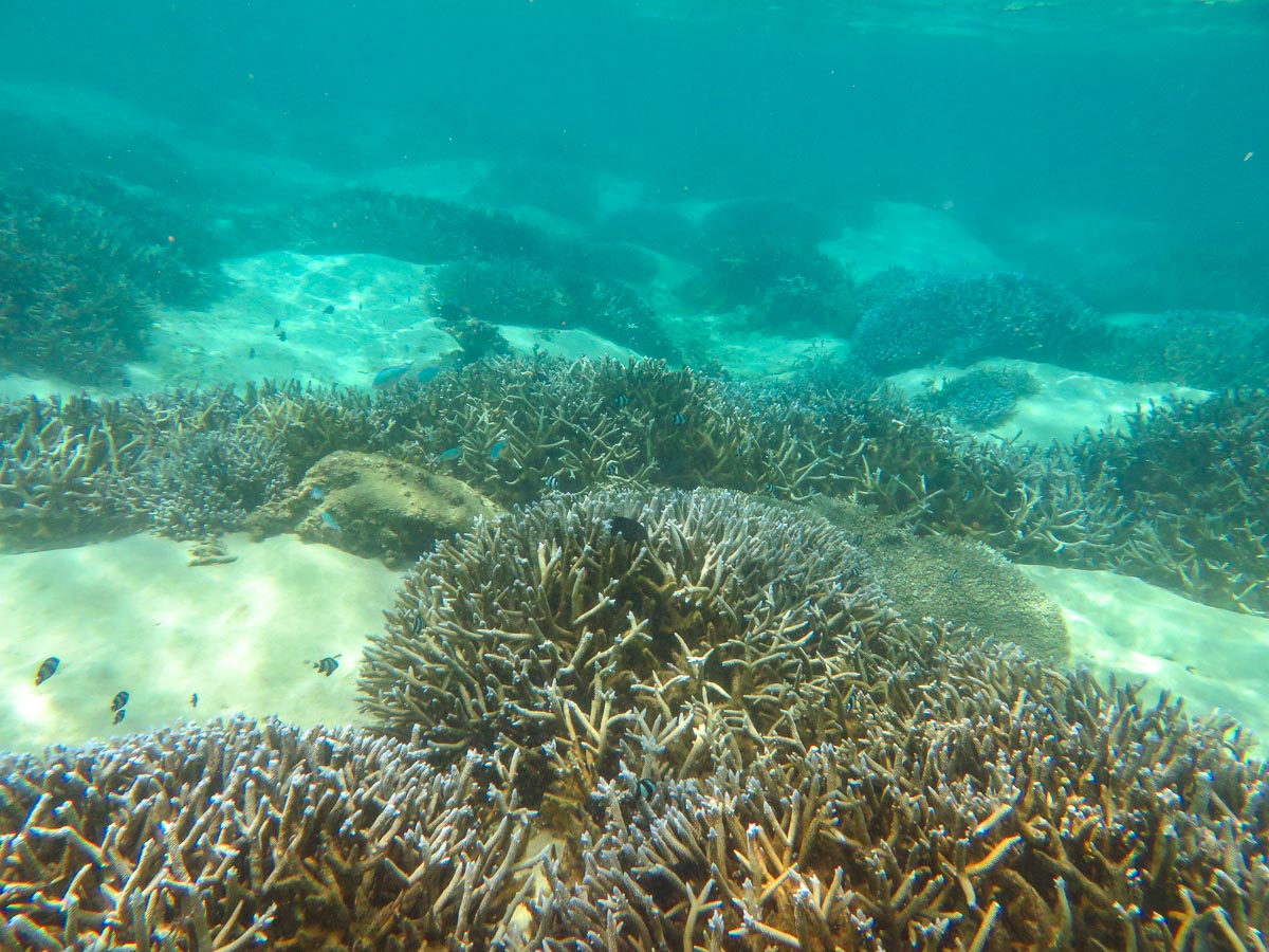 IMG_1953.jpg IMG_1953.jpg