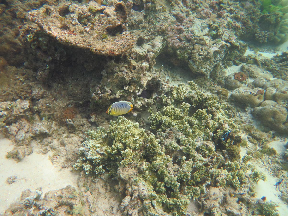 IMG_1954.jpg IMG_1954.jpg