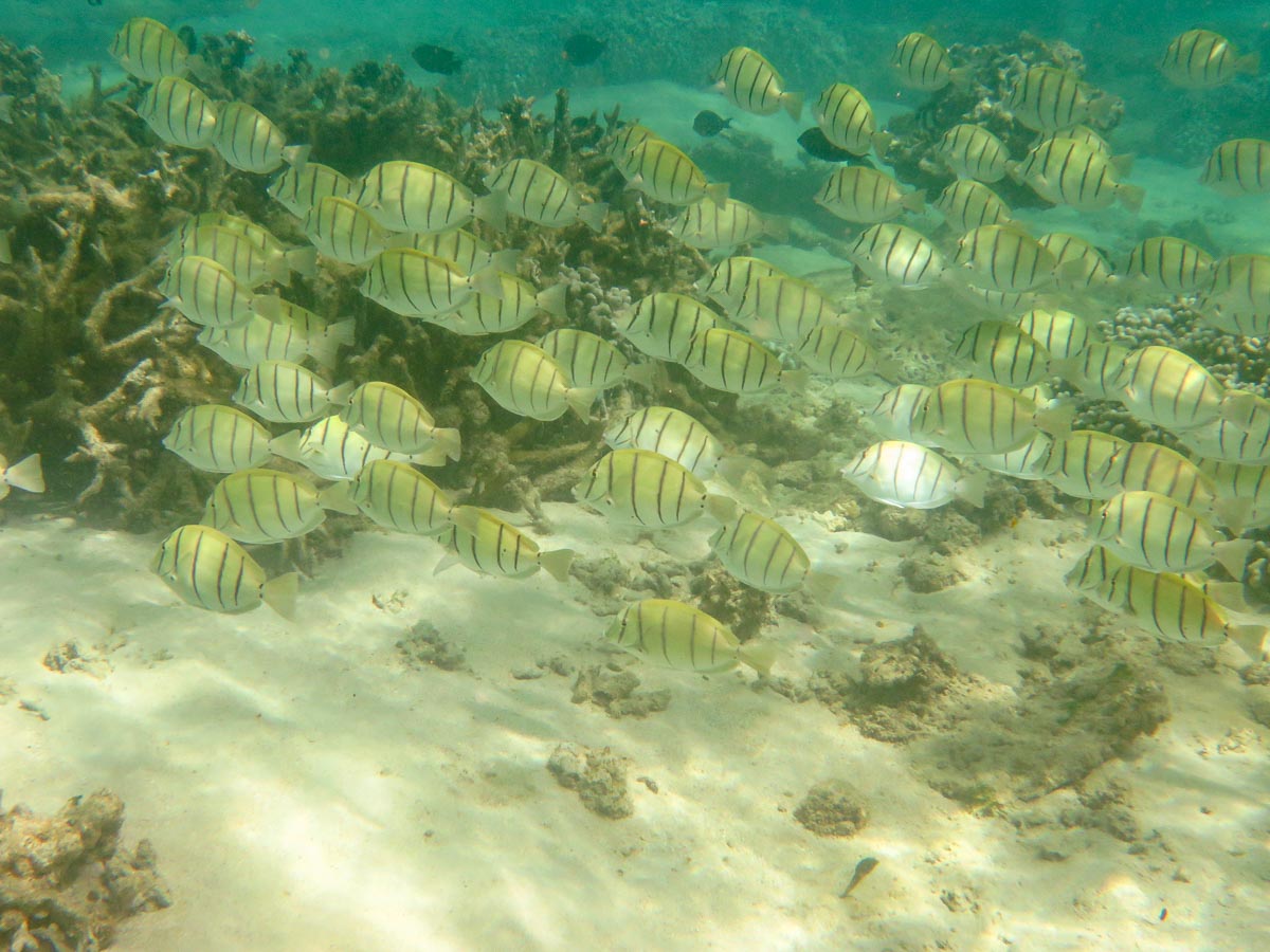 IMG_1965.jpg IMG_1965.jpg