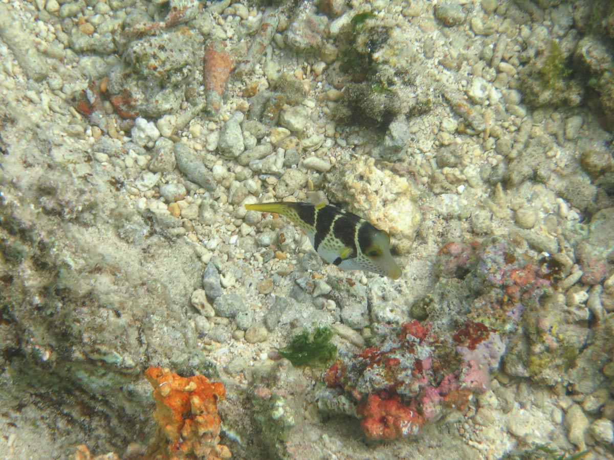 IMG_1980.jpg IMG_1980.jpg