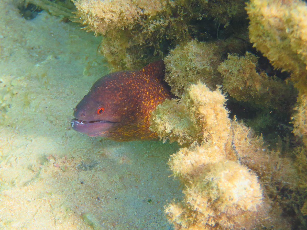 IMG_2015.jpg IMG_2015.jpg