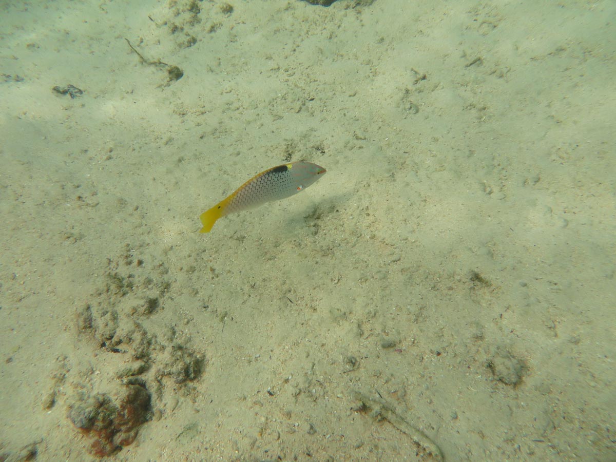 IMG_2018.jpg IMG_2018.jpg