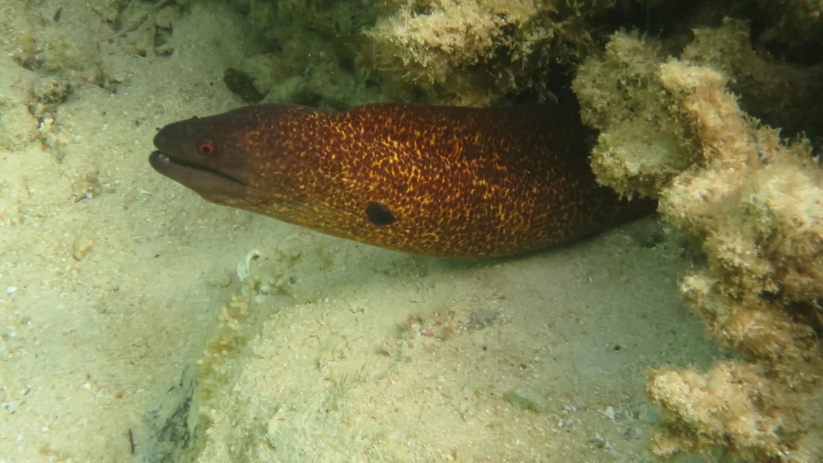 MVI_2008-1.jpg MVI_2008-1.jpg