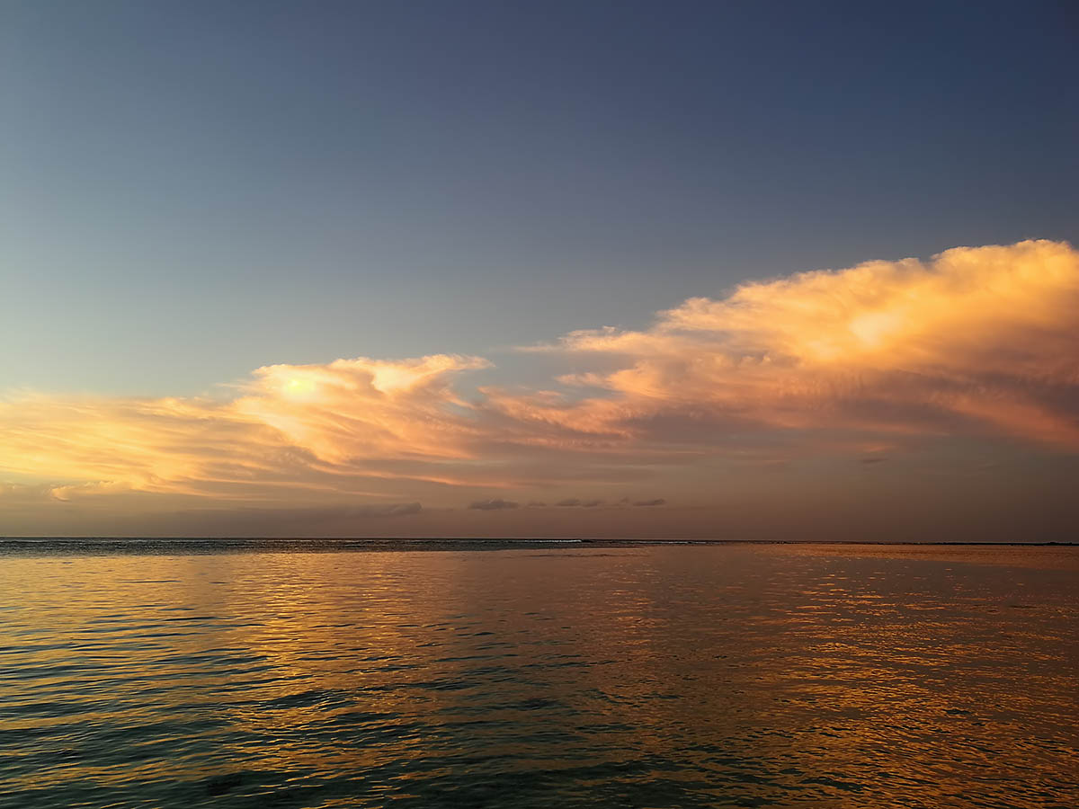 IMG_20191017_181835.jpg IMG_20191017_181835.jpg