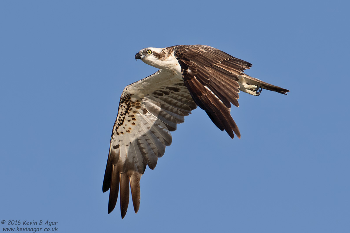 7D2_8246.jpg