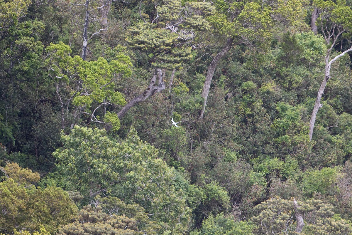 7D2_3404.jpg