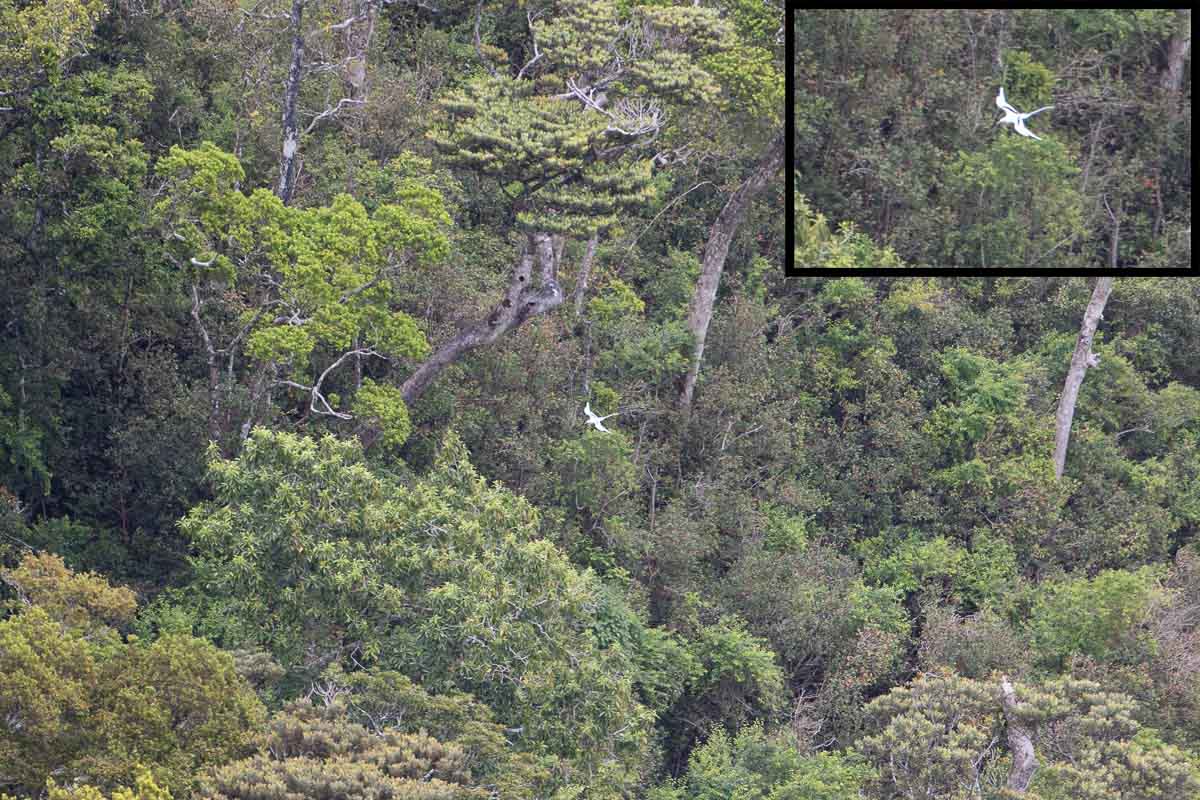 7D2_3404a.jpg 7D2_3404a.jpg