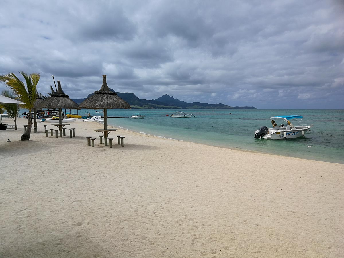 IMG_20191019_141955.jpg IMG_20191019_141955.jpg