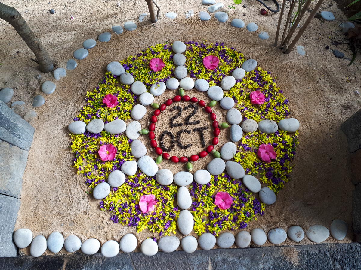 20191022_080810.jpg 20191022_080810.jpg