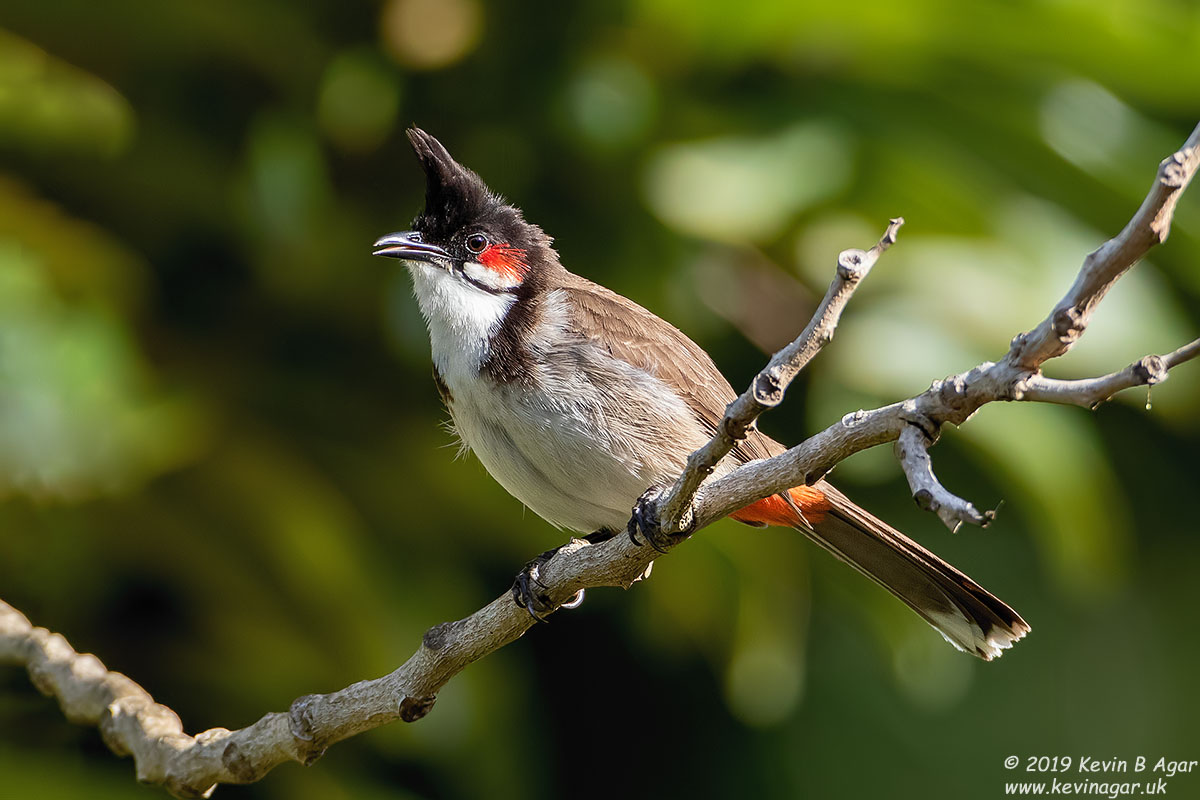 7D2_3229.jpg 7D2_3229.jpg