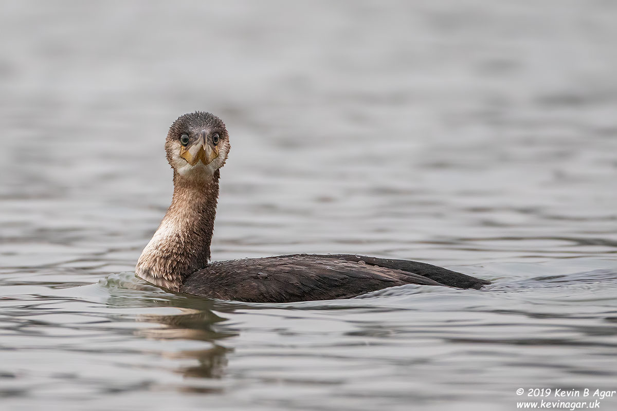 7D2_4546.jpg 7D2_4546.jpg