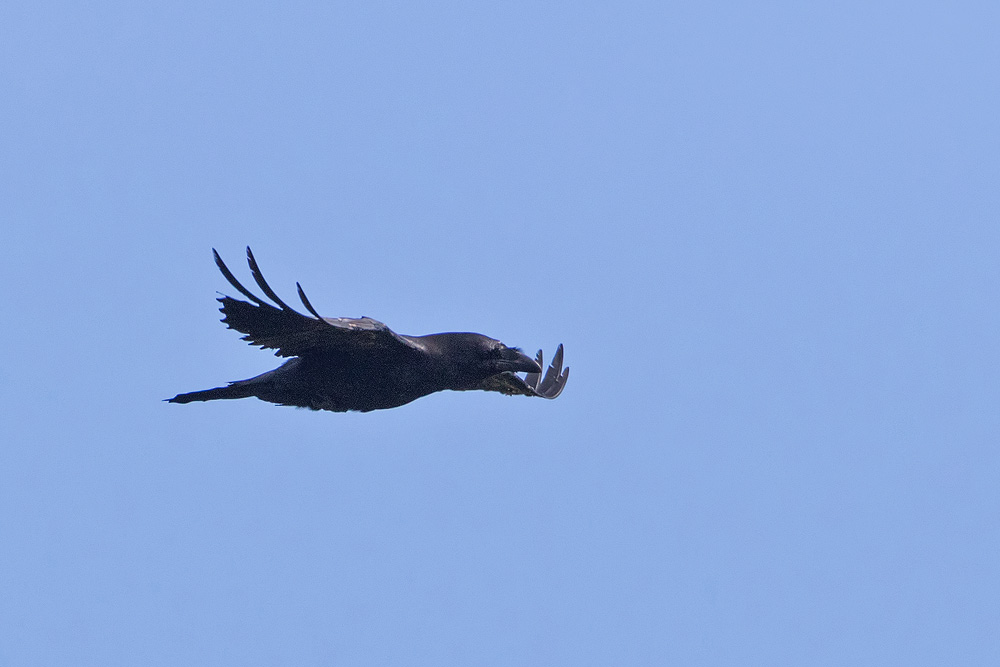 7D2_2086.jpg