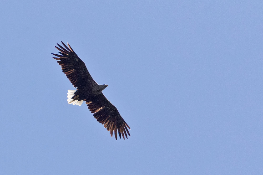 7D2_2142.jpg