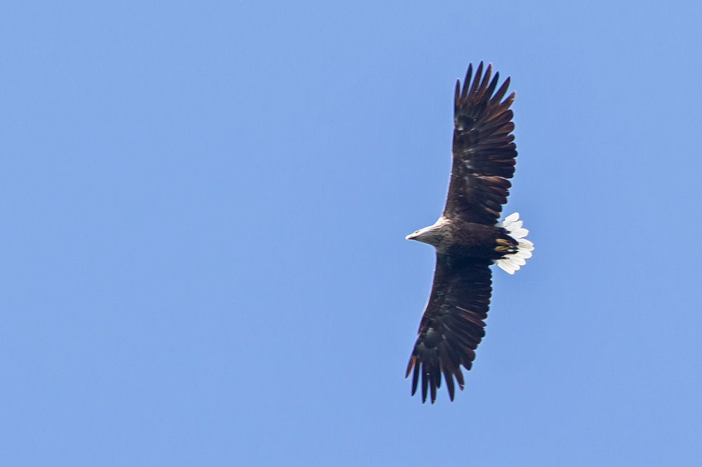 7D2_2160.jpg