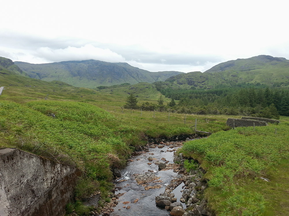 20150625_154751.jpg