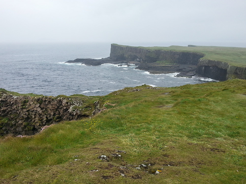 20150626_115853.jpg