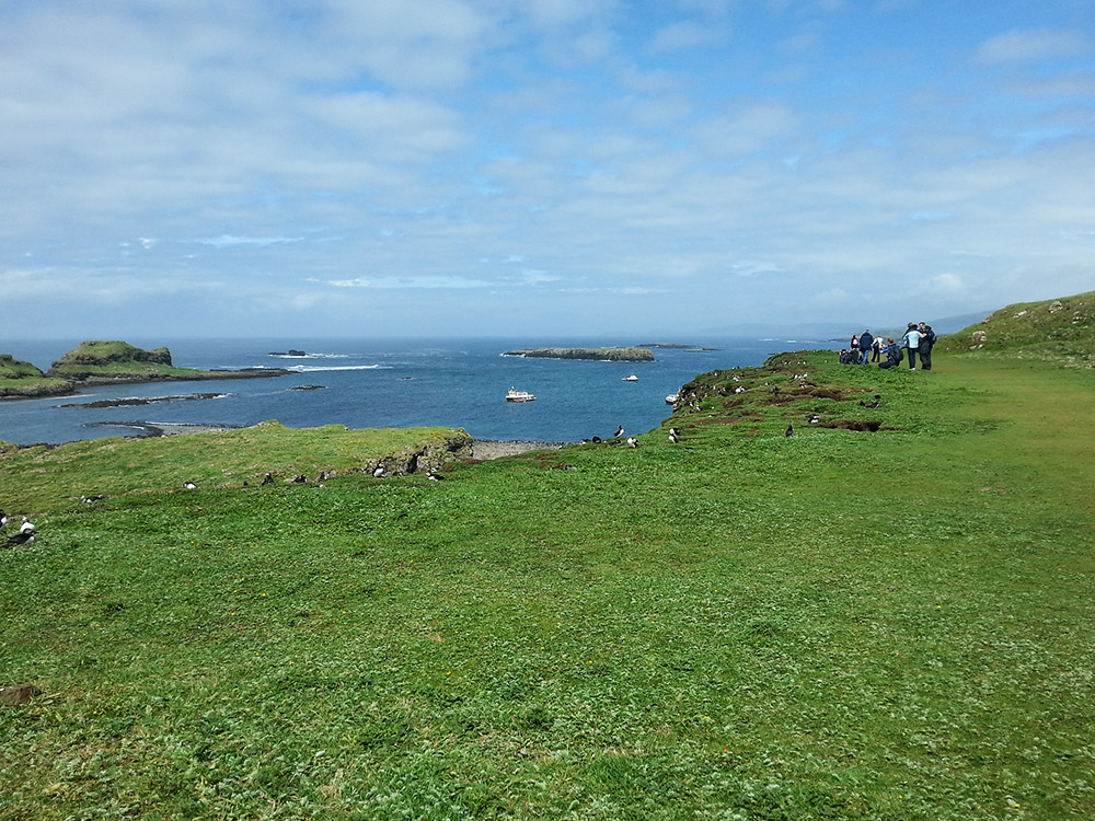 20150626_143523.jpg