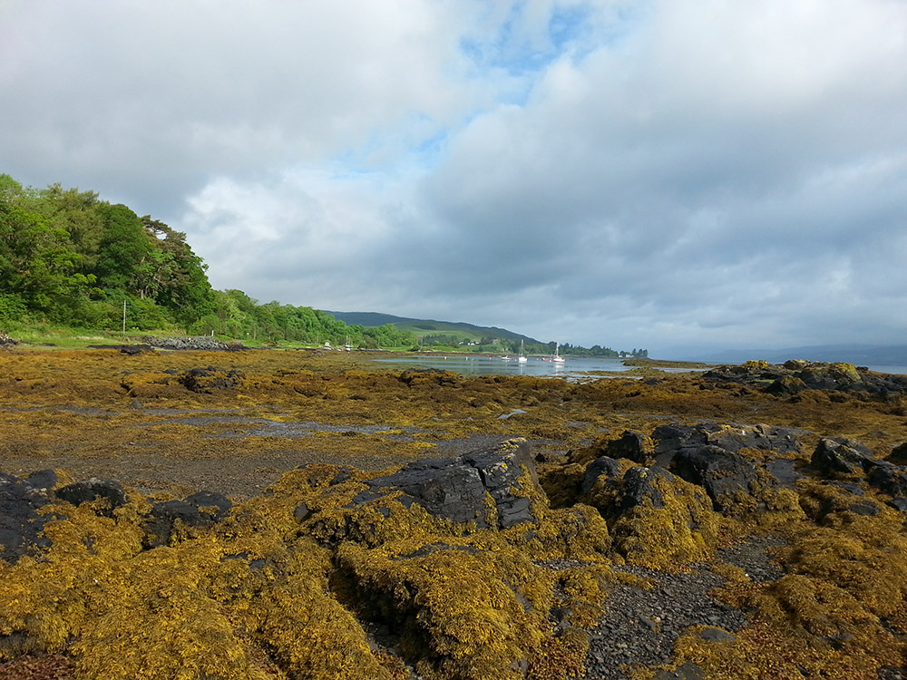 20150627_092045.jpg