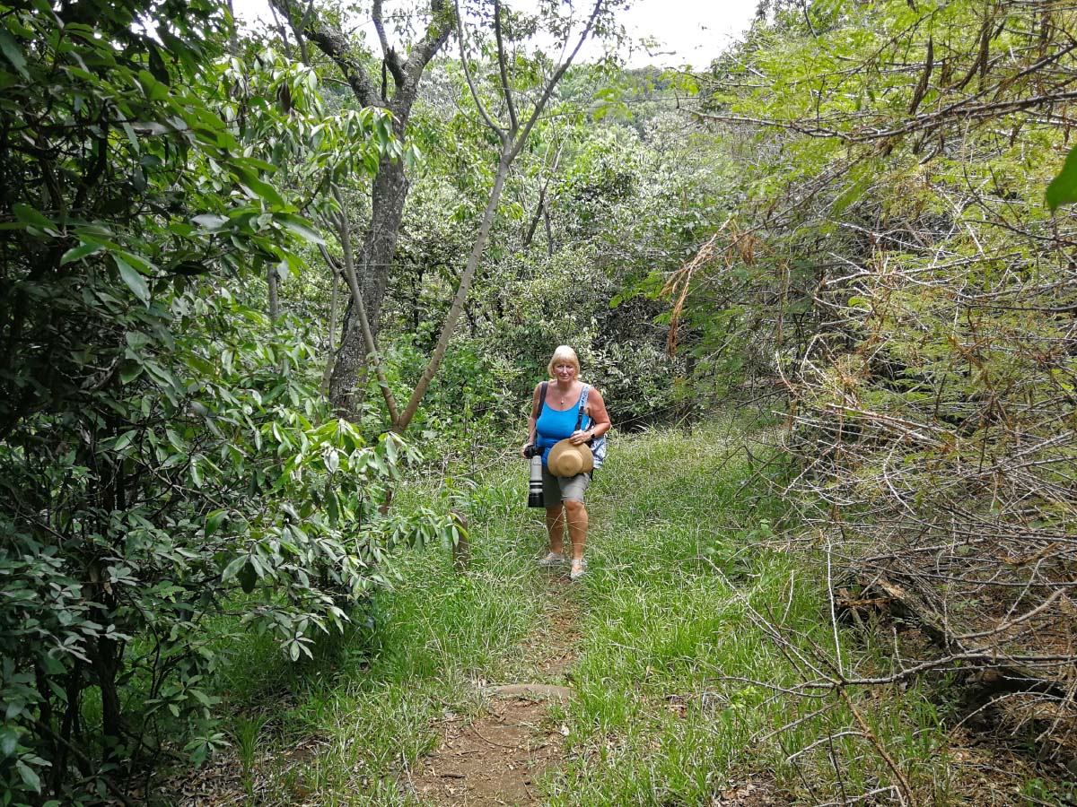 IMG_20200123_115317.jpg IMG_20200123_115317.jpg