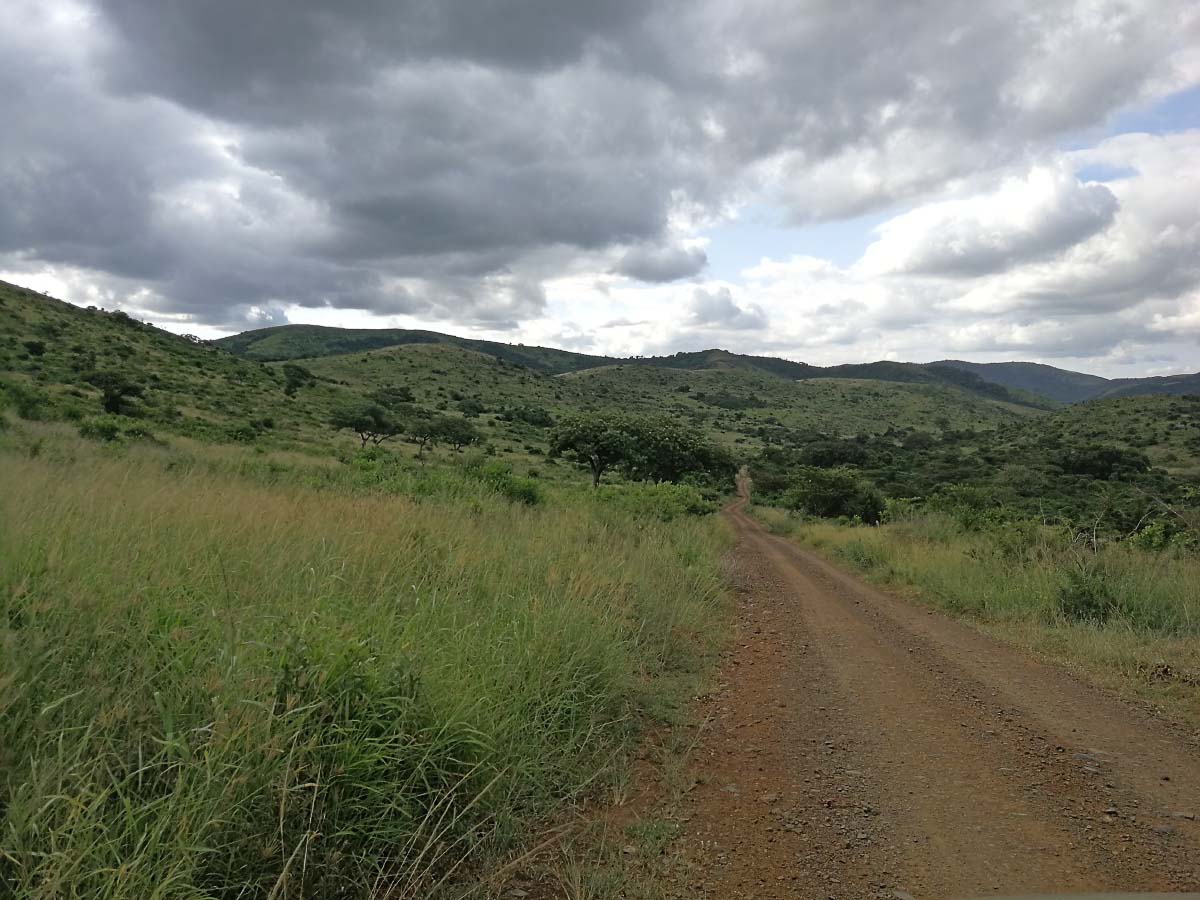 IMG_20200123_162519.jpg IMG_20200123_162519.jpg