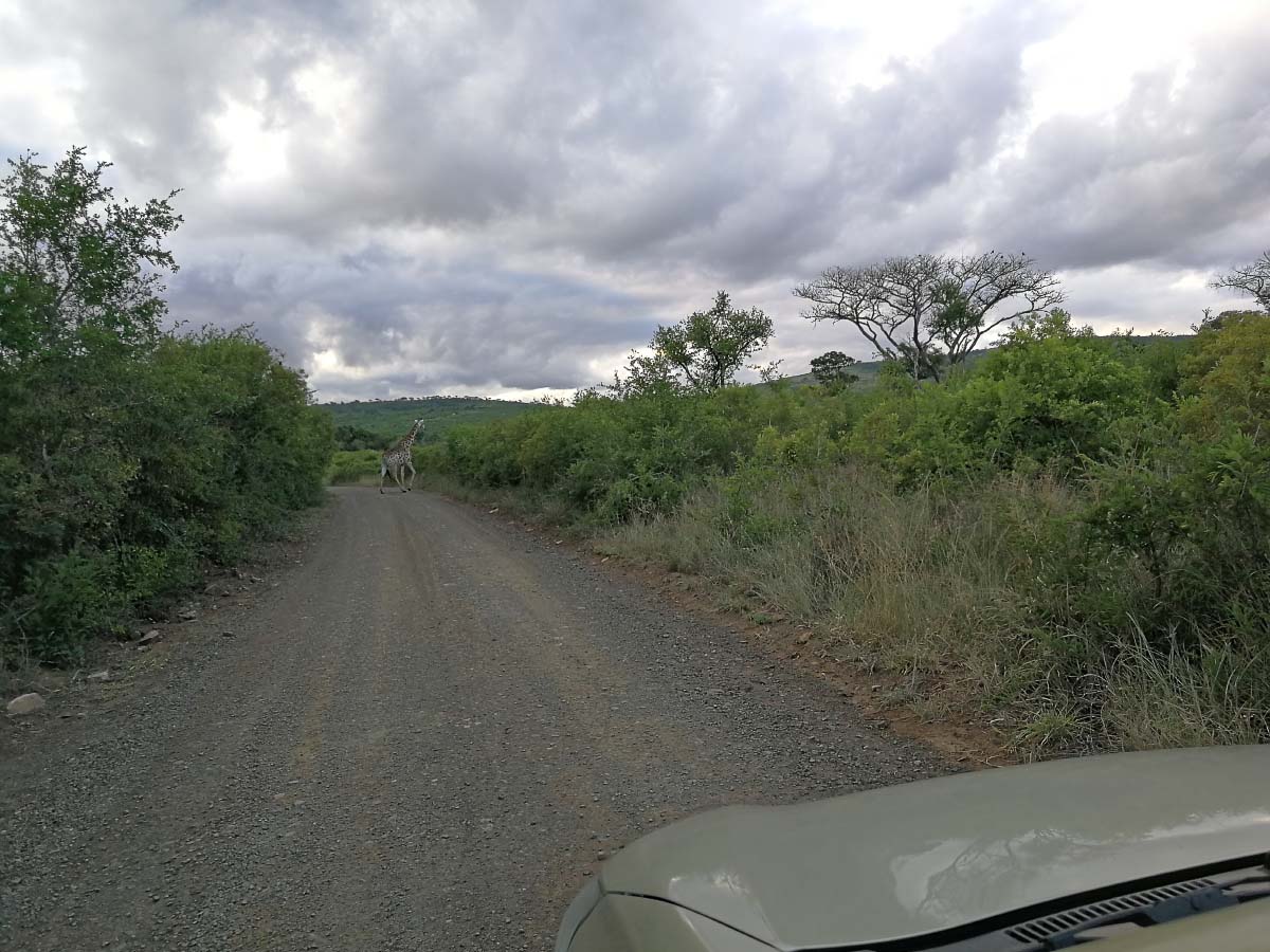 IMG_20200123_175822.jpg IMG_20200123_175822.jpg