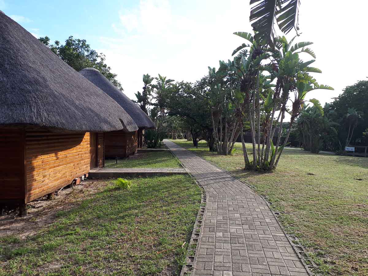 20200124_170848.jpg 20200124_170848.jpg