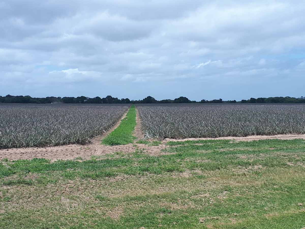 20200127_104705.jpg 20200127_104705.jpg