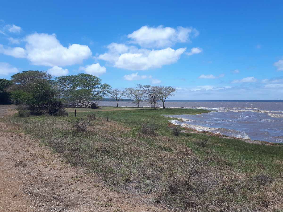 20200127_113028.jpg 20200127_113028.jpg