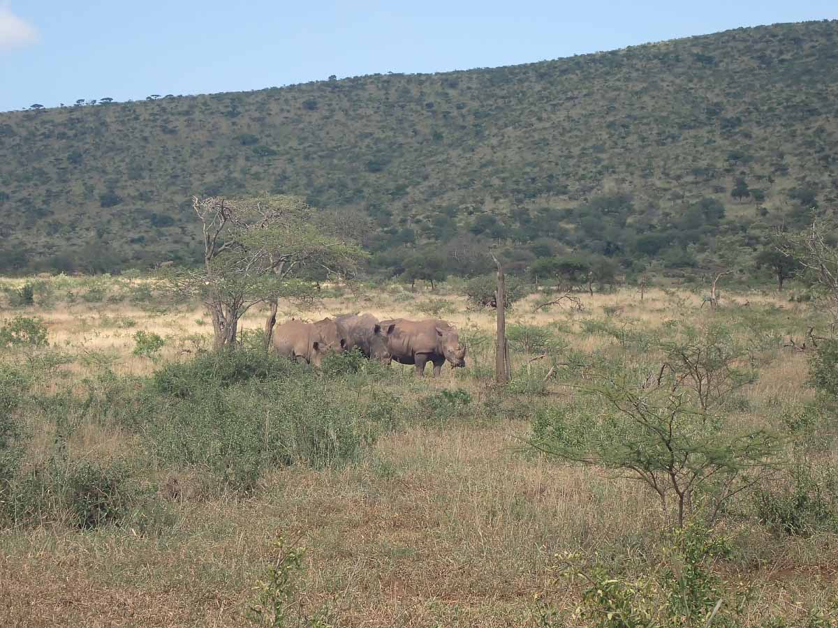 P1280165.jpg P1280165.jpg