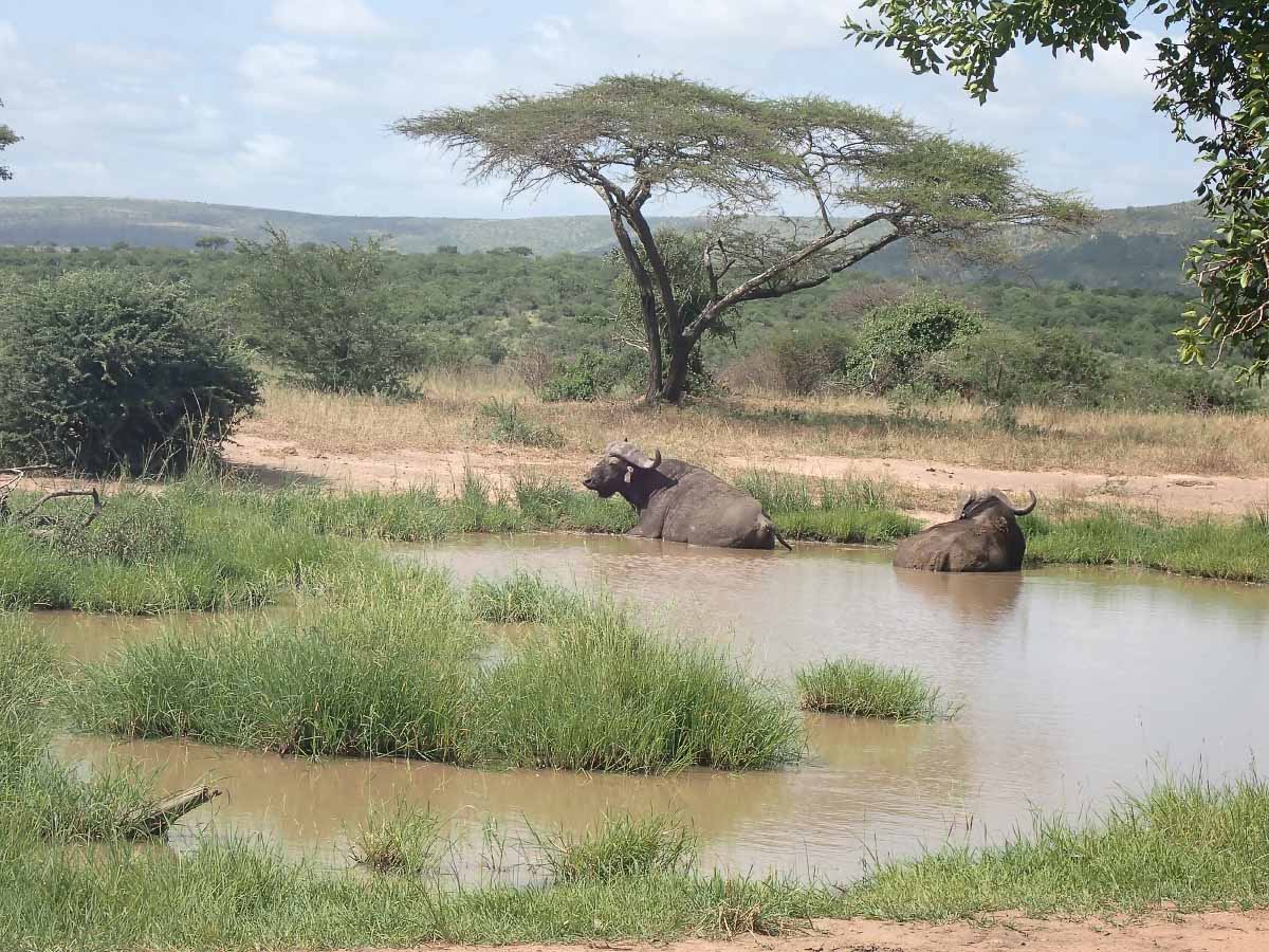 P1280168.jpg P1280168.jpg