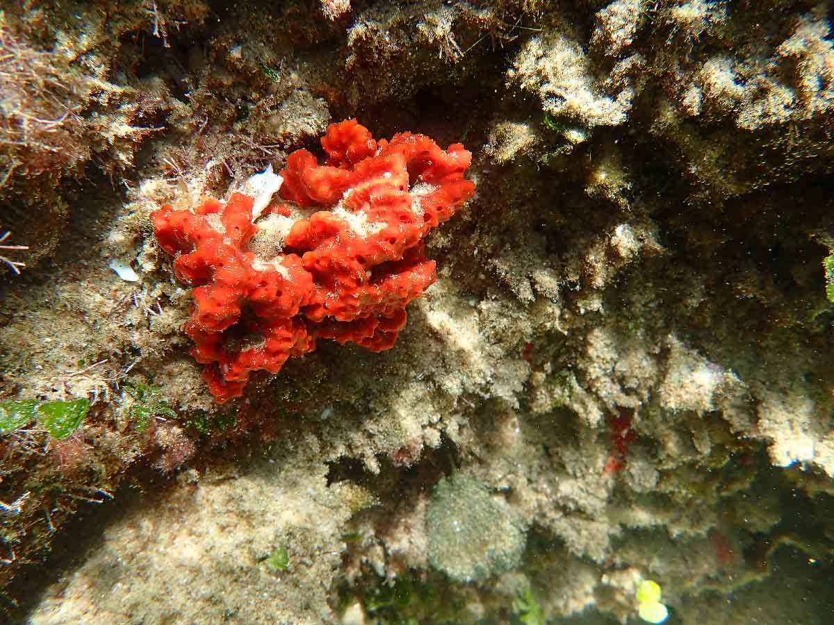 P1260111.jpg P1260111.jpg