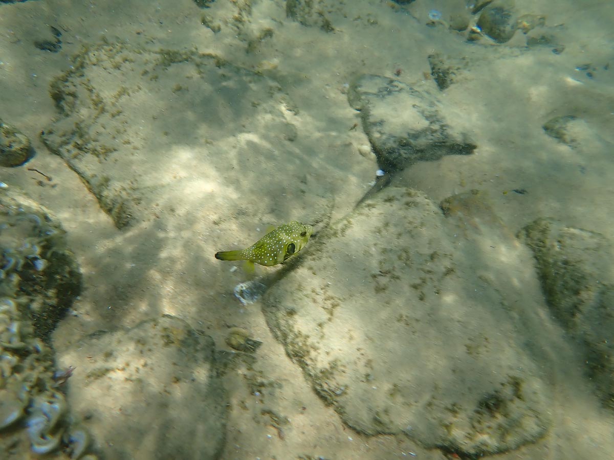 P1310216.jpg P1310216.jpg