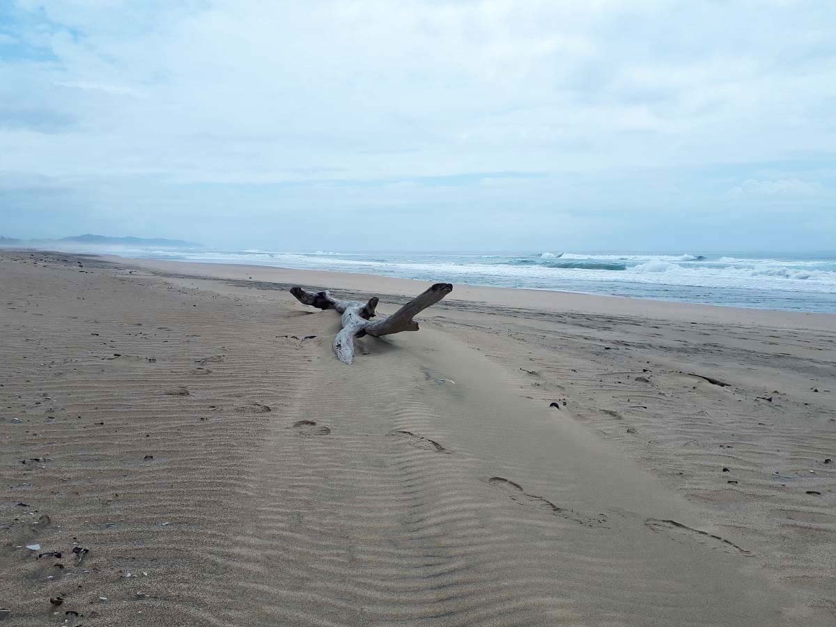 20200130_102459.jpg 20200130_102459.jpg