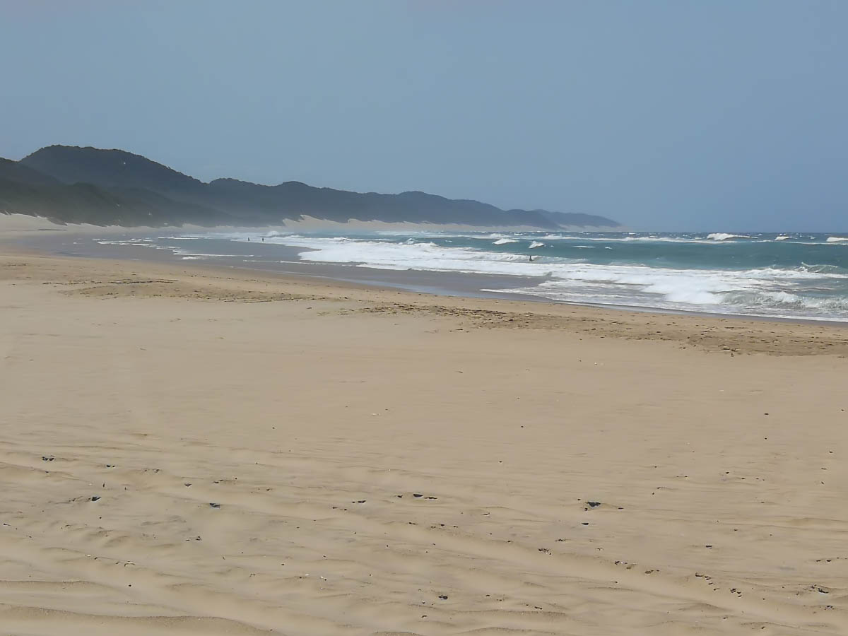 IMG_20200131_125029.jpg IMG_20200131_125029.jpg