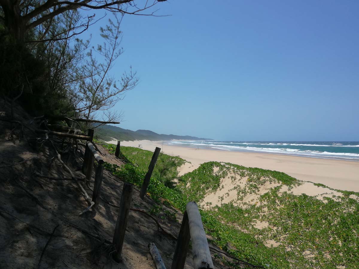 IMG_20200131_130102.jpg IMG_20200131_130102.jpg