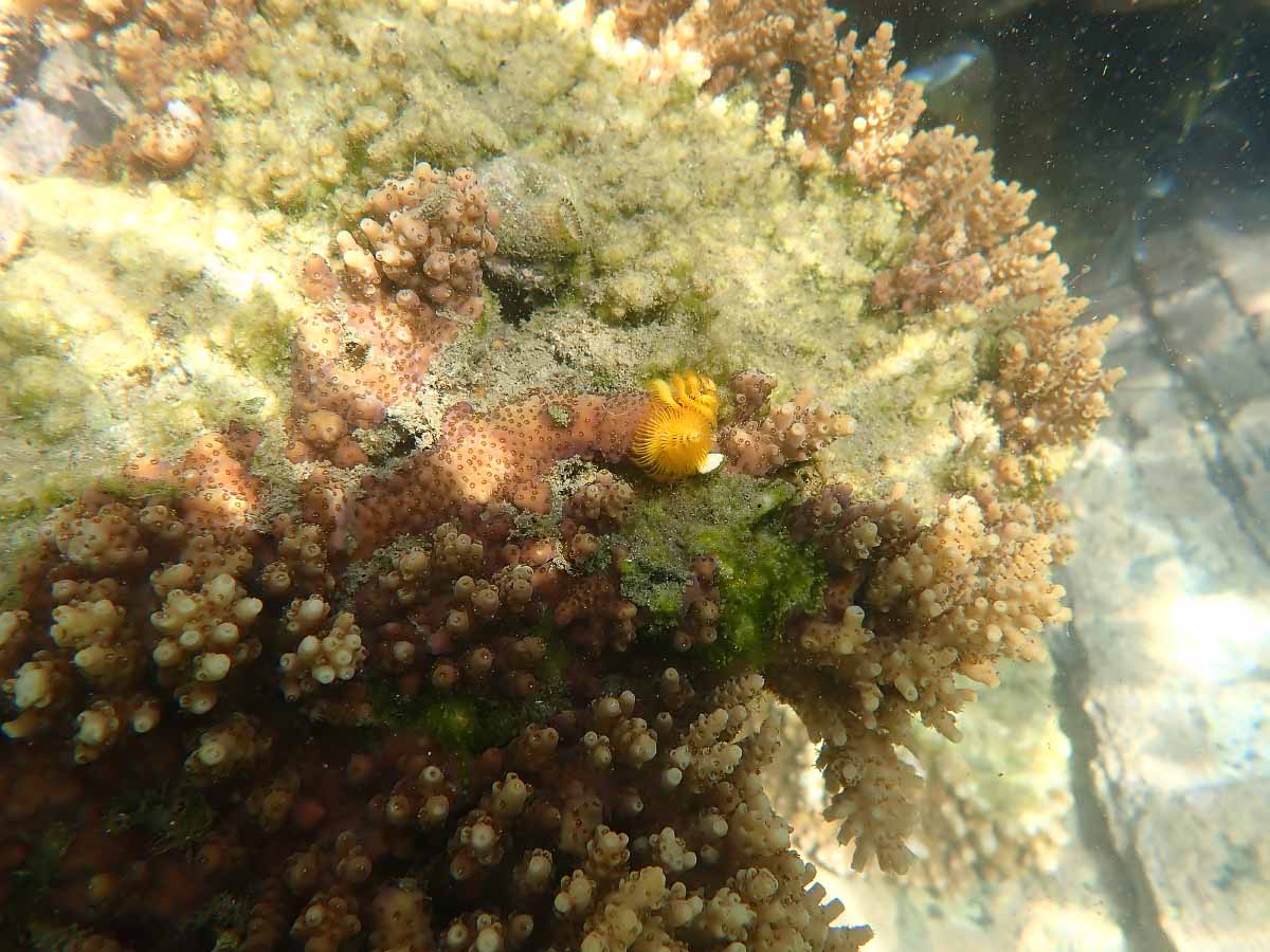 P2020221.jpg P2020221.jpg