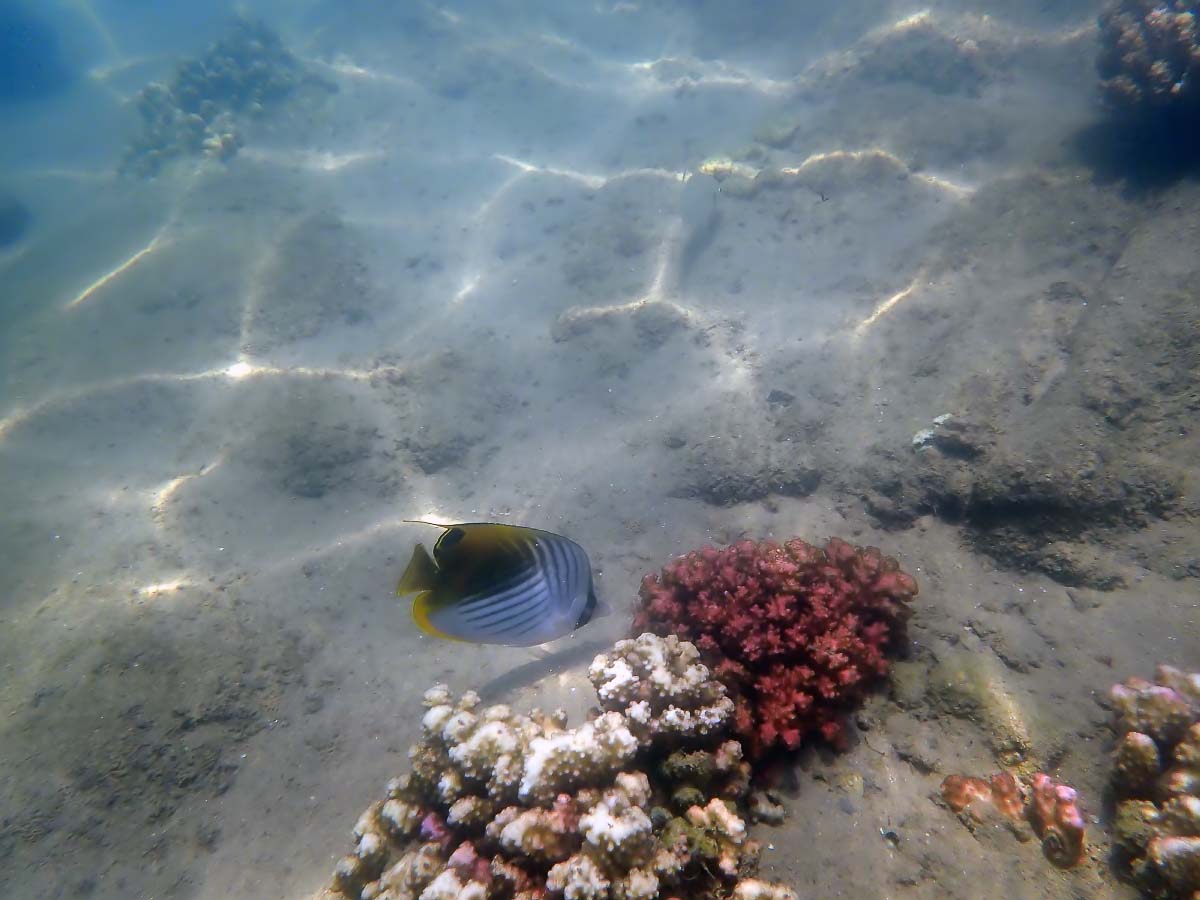 P2030285.jpg P2030285.jpg