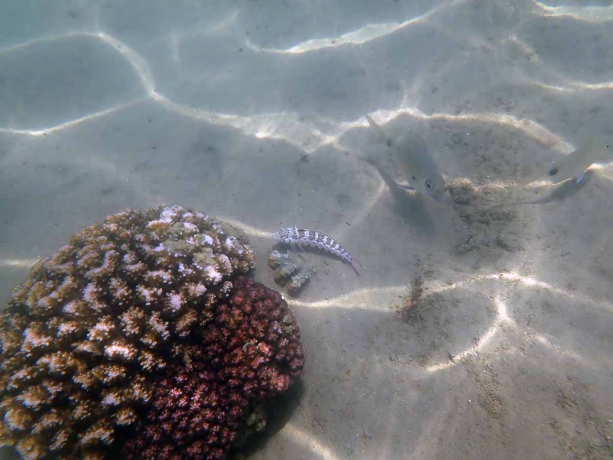 P2030291.jpg P2030291.jpg